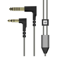 Sennheiser IE 600 Audiophile In-Ear Earbuds - Silver