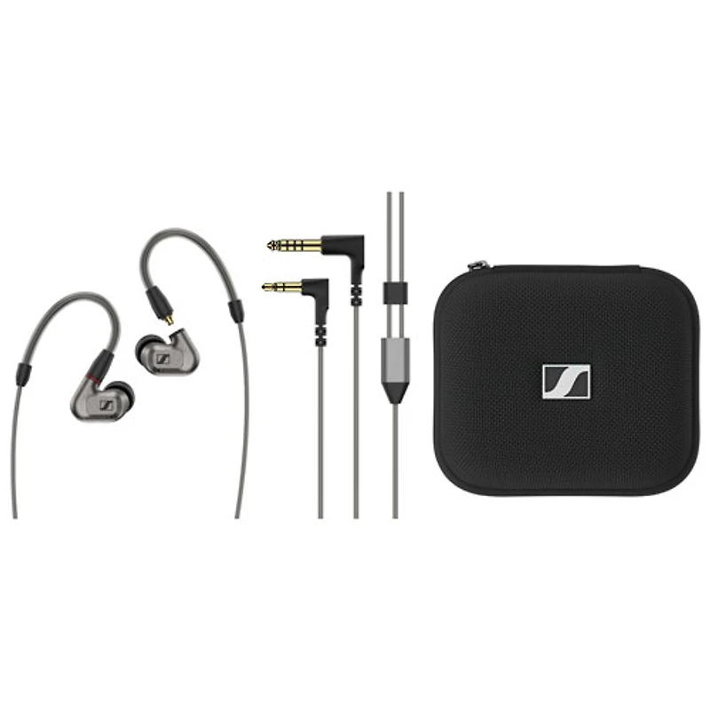Sennheiser IE 600 Audiophile In-Ear Earbuds - Silver