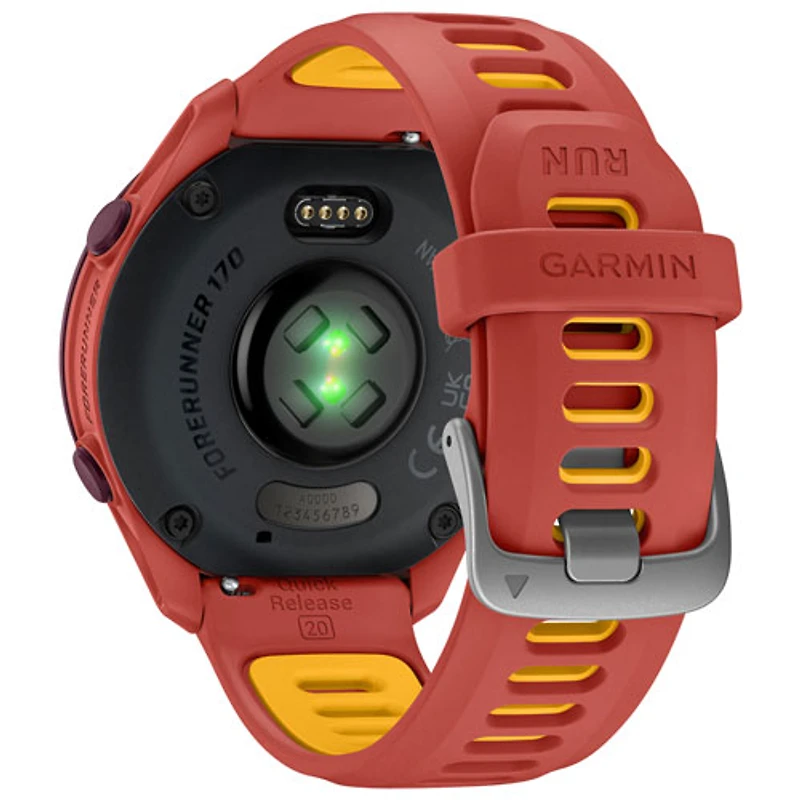 Montre intelligente GPS pour la course Forerunner 170 de 43mm à écran AMOLED de Garmin
