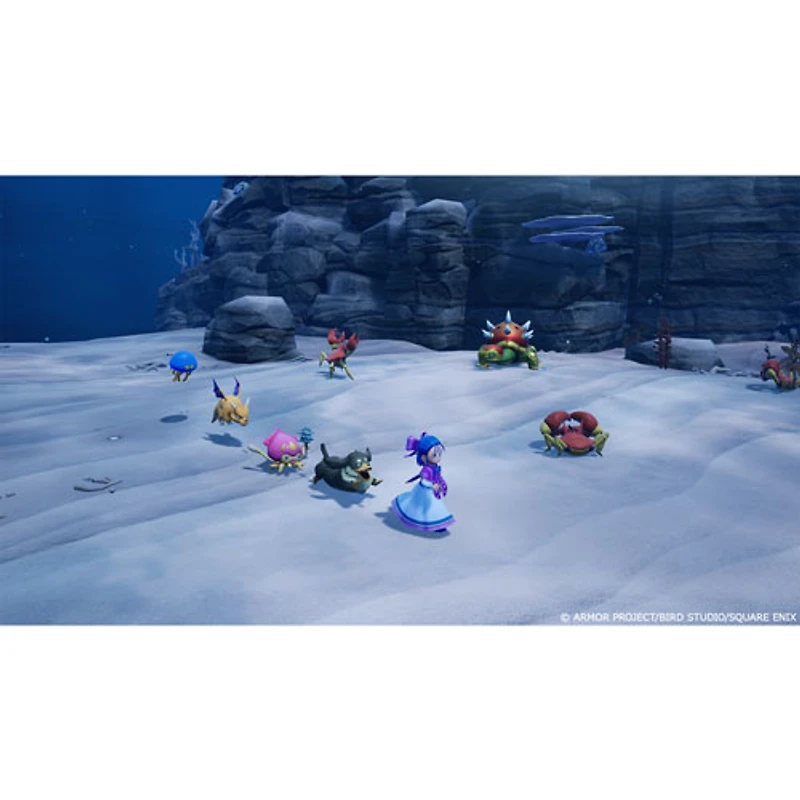 Dragon Quest Monsters: The Withered World (PS5)