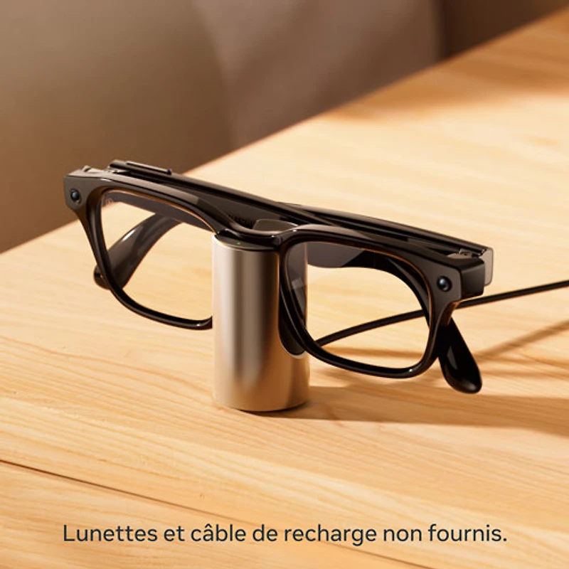 Meta Glasses Fast Charging Stand for Meta AI Glasses - Natural Titanium