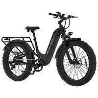Vélo électrique à gros pneus SF5 de Blutron (moteur 500 W/autonomie jusqu'à 95 km/vitesse maximale 32 km/h) - Noir mat