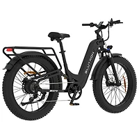Vélo électrique à gros pneus SF5 de Blutron (moteur 500 W/autonomie jusqu'à 95 km/vitesse maximale 32 km/h) - Noir mat