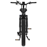 Vélo électrique à gros pneus SF5 de Blutron (moteur 500 W/autonomie jusqu'à 95 km/vitesse maximale 32 km/h) - Noir mat