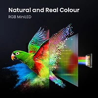Hisense 55" UR8SG 4K UHD HDR Dolby Atmos RGB Mini-LED Android Smart TV (55UR8SG) - 2026 - Great for Movies & Gaming