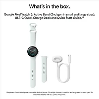 Google Pixel Watch 5 LTE 45mm with Silver Aluminum Case