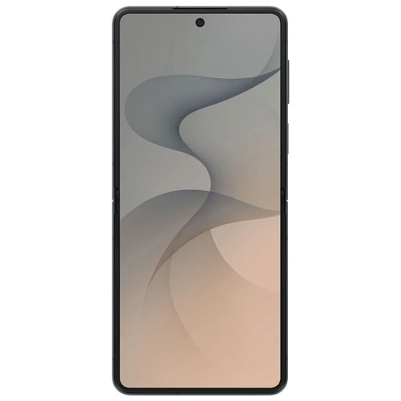 Galaxy Z Flip8 5G de Go de Samsung avec Rogers - Graphite