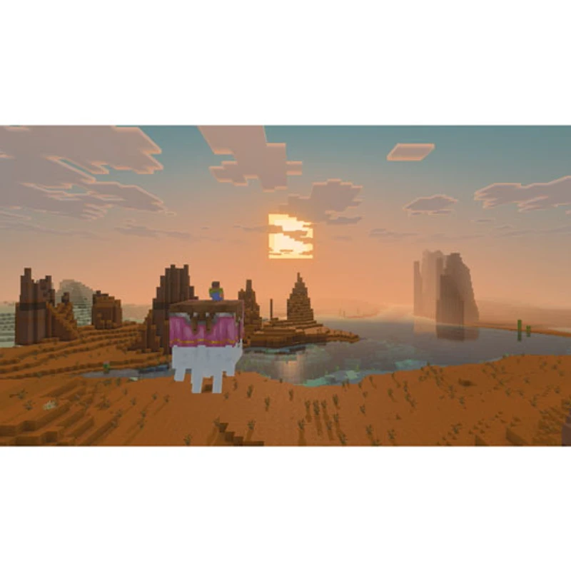Minecraft (Switch 2)