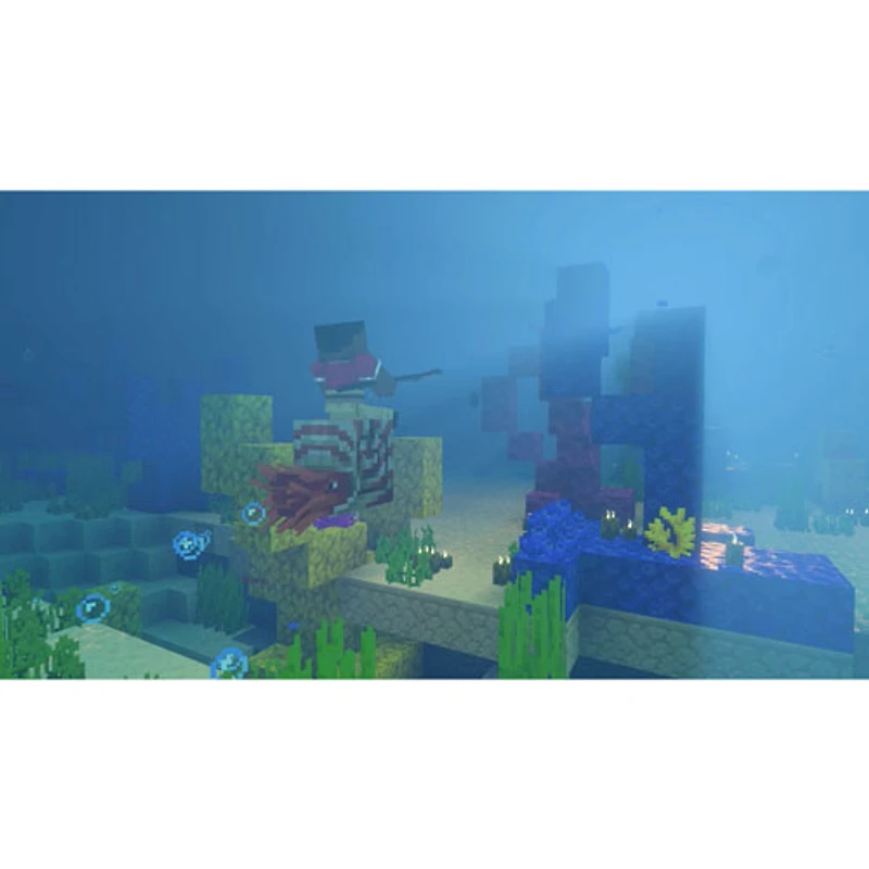 Minecraft (Switch 2)
