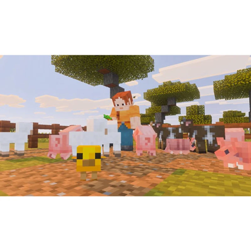 Minecraft (Switch 2)