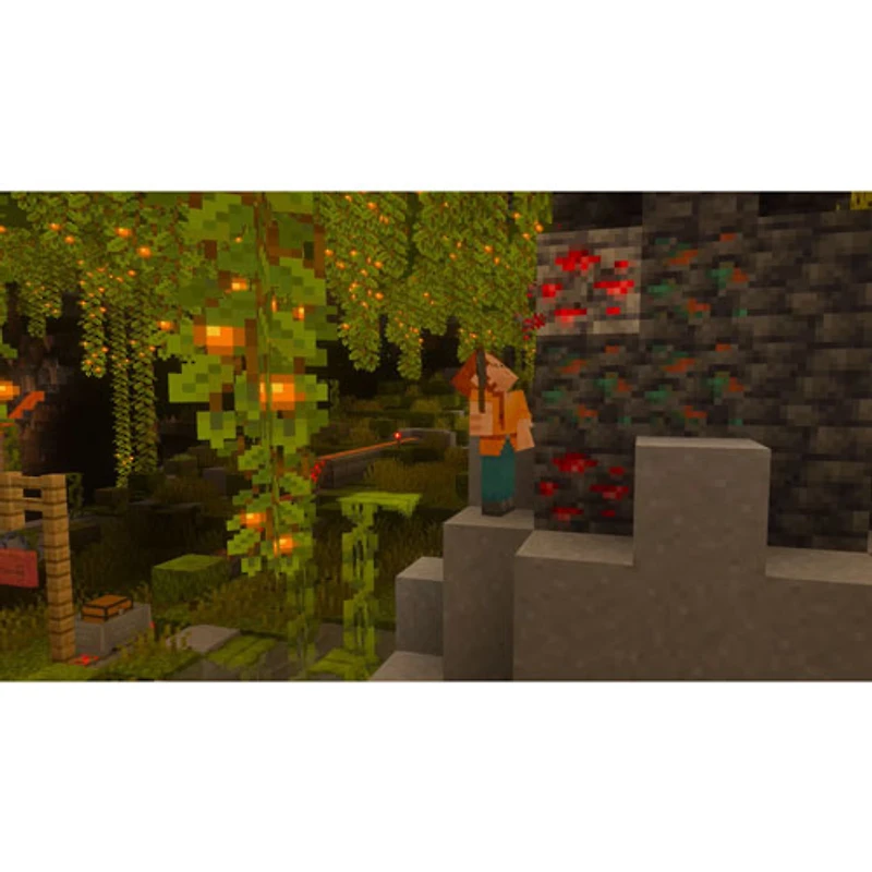 Minecraft (Switch 2)