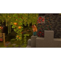 Minecraft (Switch 2)