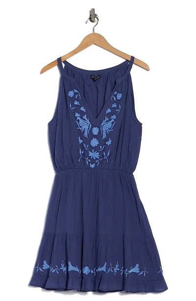 Embroidered Dress