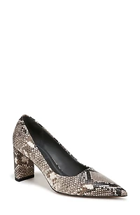 Giovanna Pointed Toe Pump