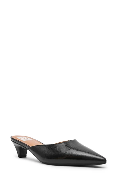 Pointed Toe Mule