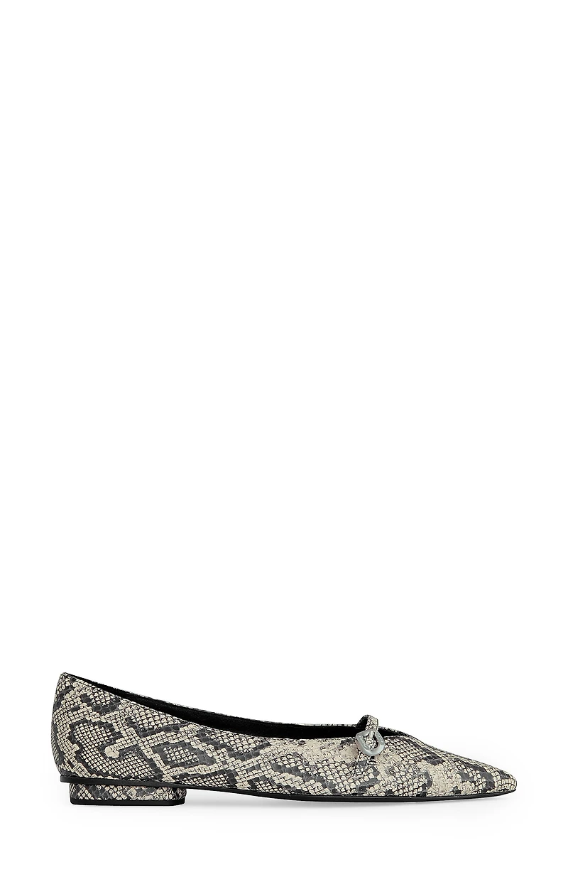 Pointed Toe Buckle Flat