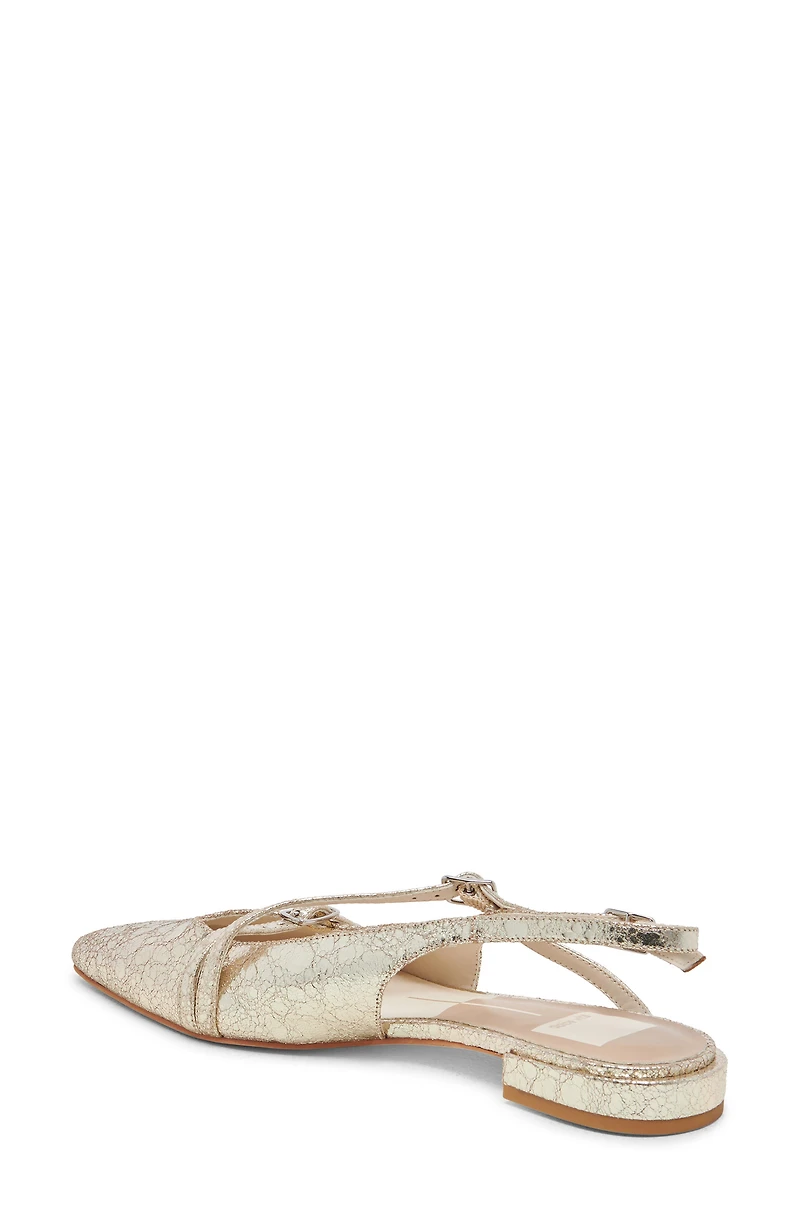 Pamla Pointed Toe Slingback Flat