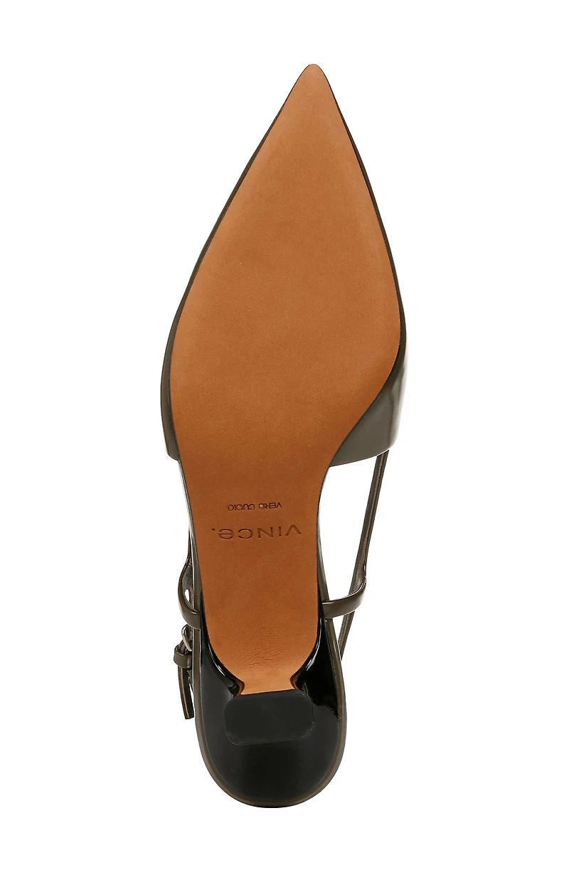 Bianca Slingback Pointed Toe Pump