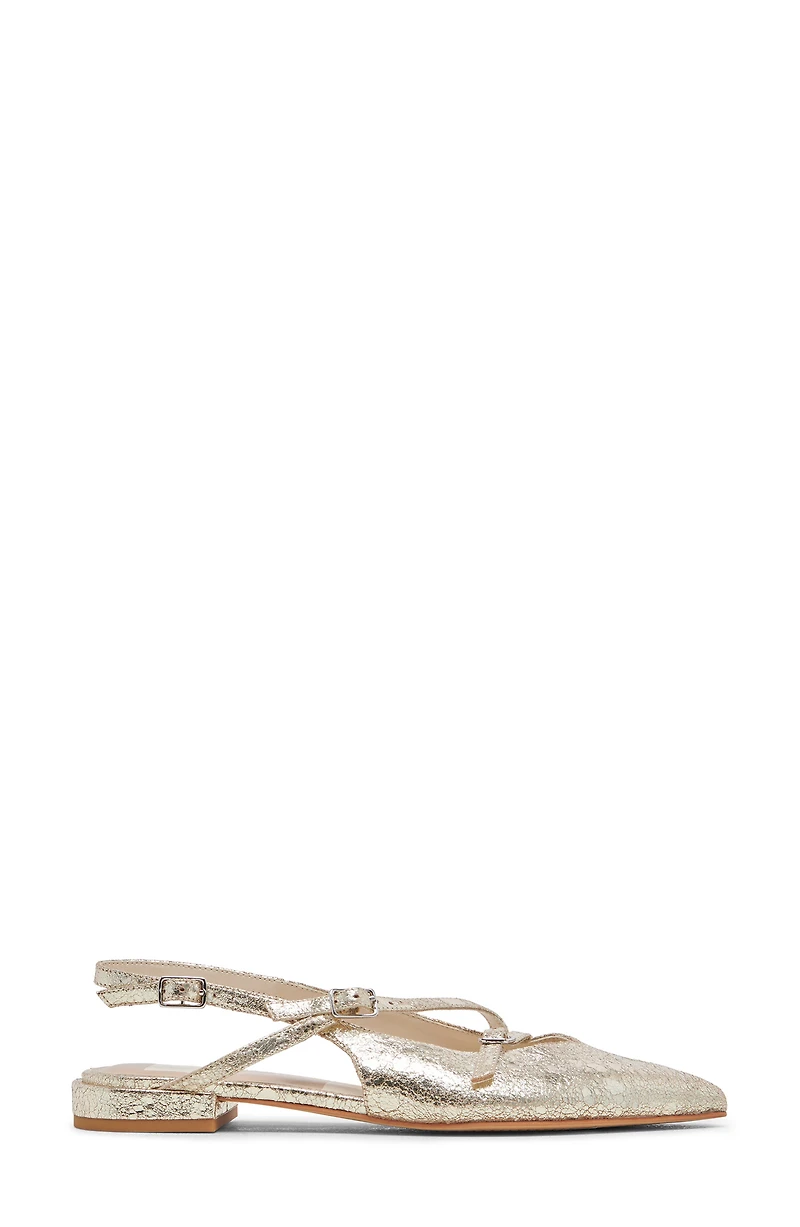 Pamla Pointed Toe Slingback Flat