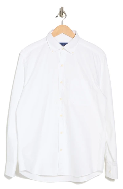 Oxford Cotton Button-Down Sport Shirt