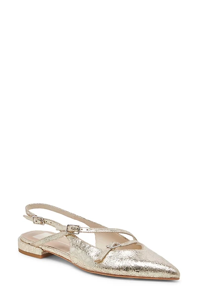 Pamla Pointed Toe Slingback Flat