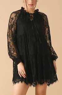 Long Sleeve Lace Minidress