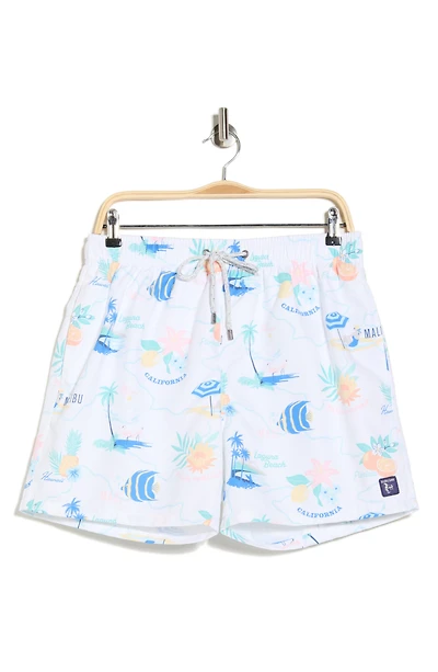 Water Repellent Stretch Volley Swim Trunks