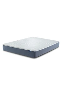 Perfect Sleeper Nestled Night 10" Medium Firm Gel Memory Foam Mattress-In-A-Box