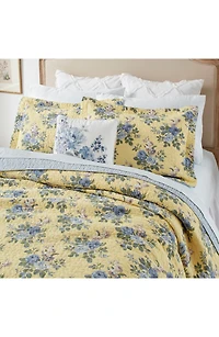 Linley Quilt & Sham Set