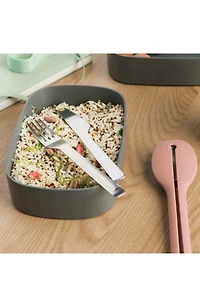 Bento Box with Flatware