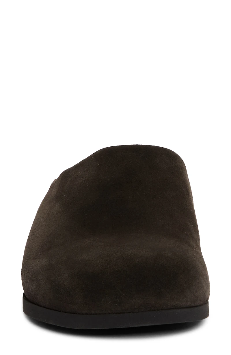 Suede & Genuine Shearling Clog