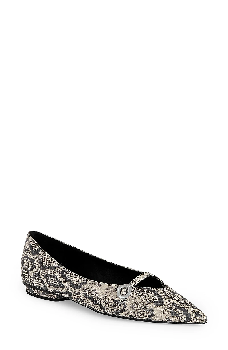 Pointed Toe Buckle Flat
