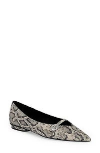 Pointed Toe Buckle Flat
