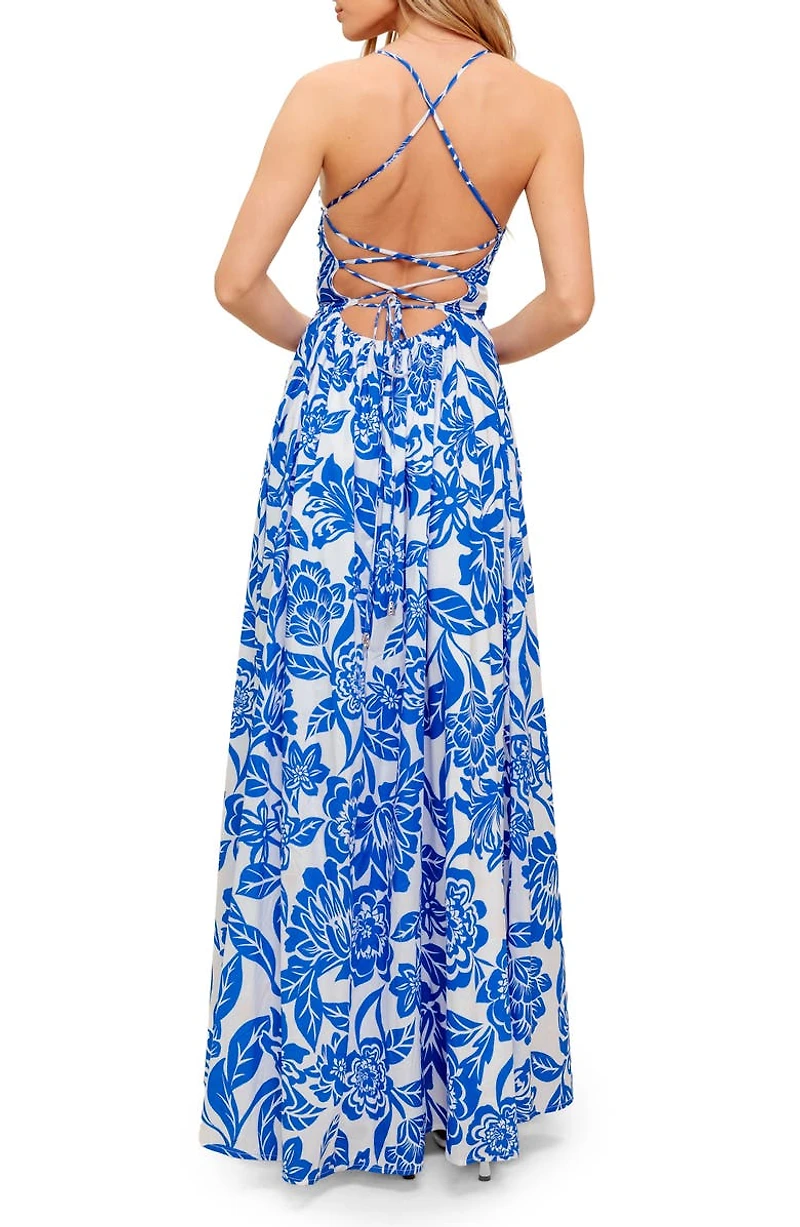 Floral Fit & Flare Maxi Dress