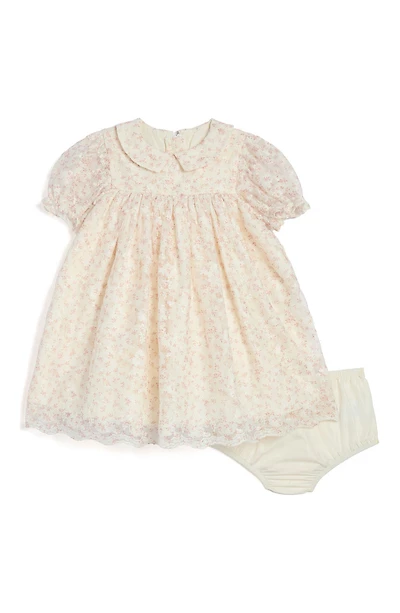 Collared Mesh Dress