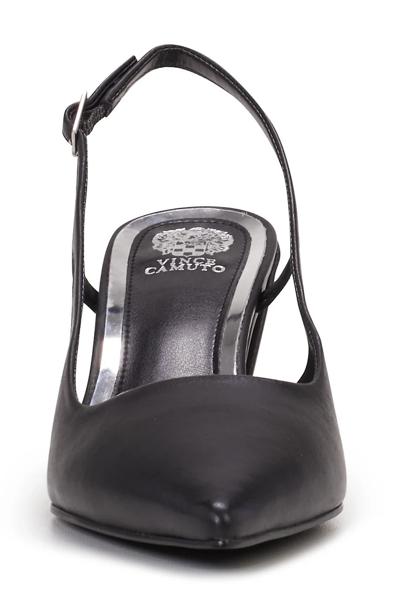 Sindree Slingback Pointed Toe Pump