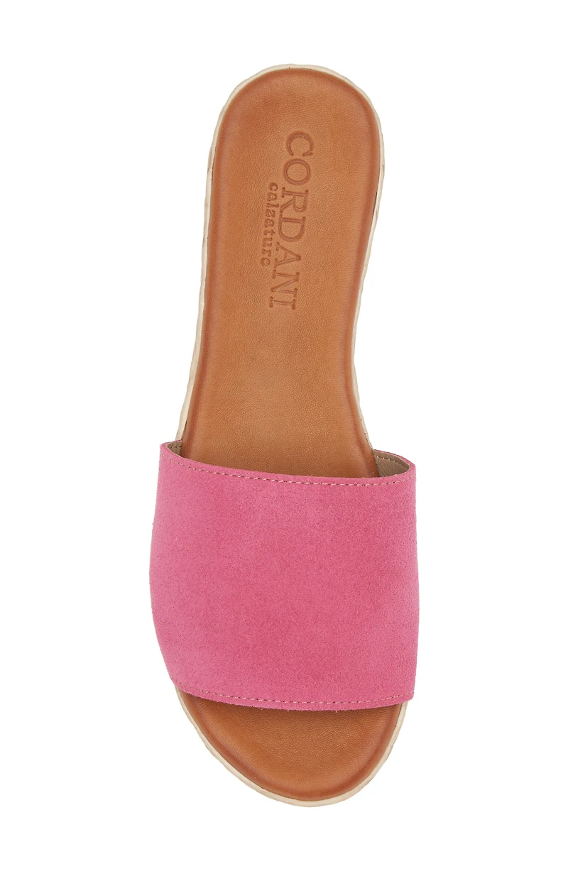 Bizzy Espadrille Platform Wedge Slide Sandal