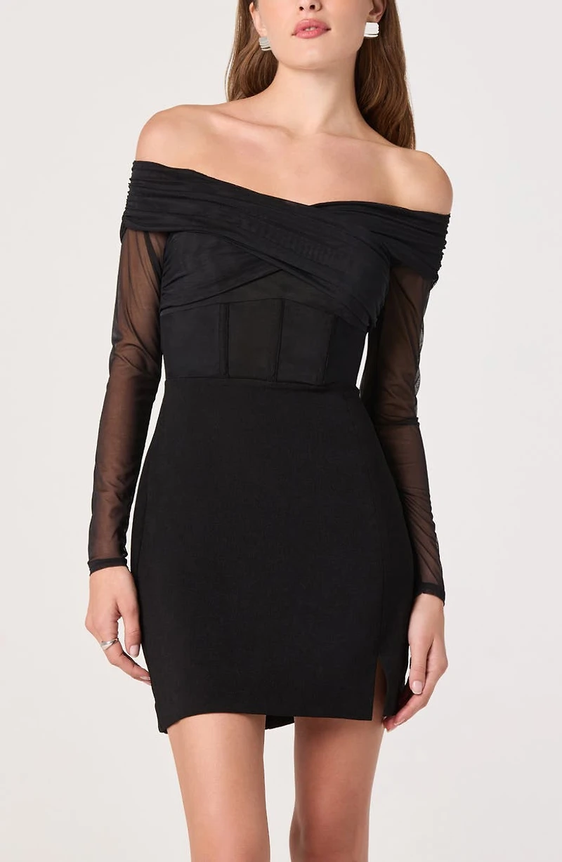Off the Shoulder Long Sleeve Mesh Minidress
