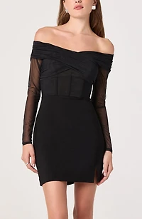 Off the Shoulder Long Sleeve Mesh Minidress