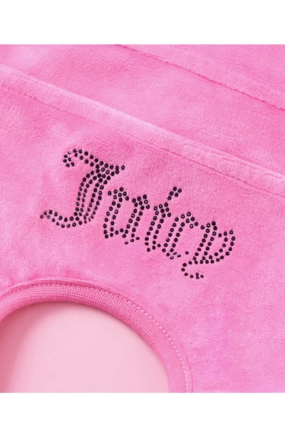 Velour Dog Tracksuit