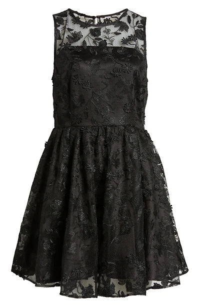 Floral Lace Fit & Flare Dress