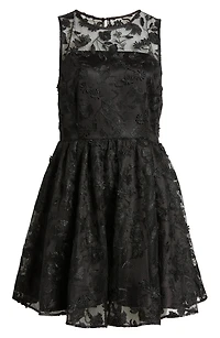 Floral Lace Fit & Flare Dress