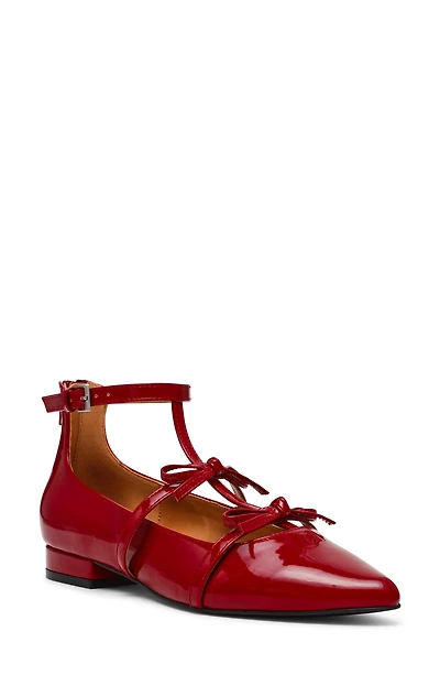 Dreams Pointed Toe Flat