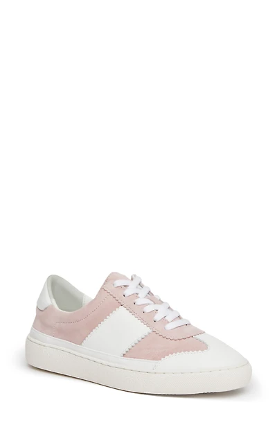 Brie Sneaker