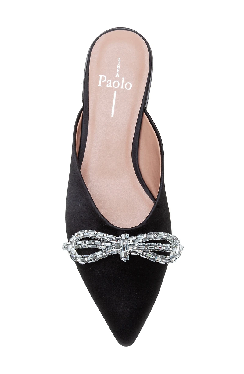 Astrid Pointed Toe Mule