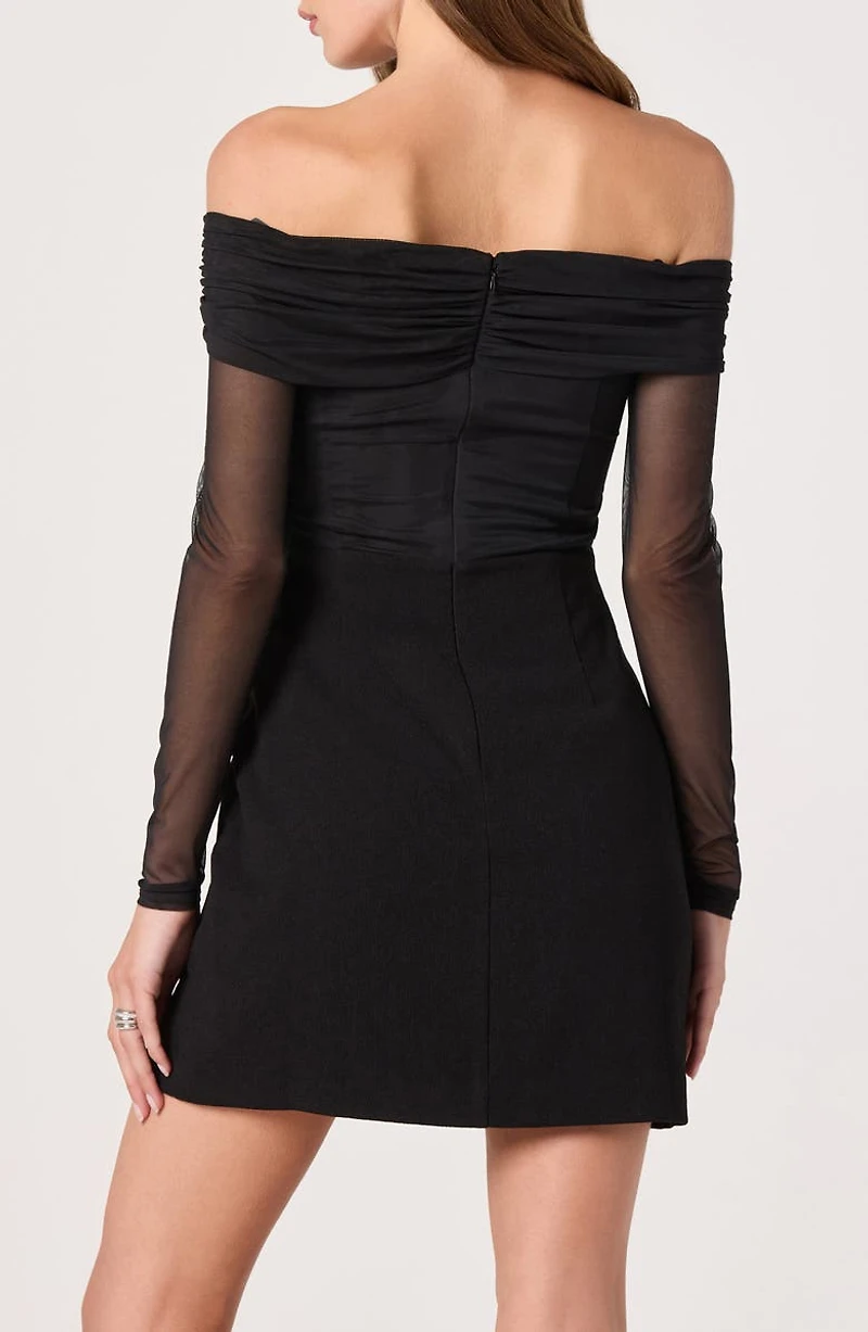 Off the Shoulder Long Sleeve Mesh Minidress