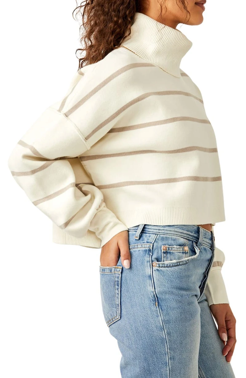 Paulie Stripe Turtleneck Sweater