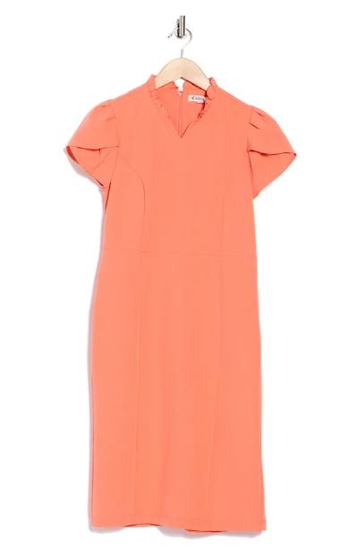 Ruffle Neck Shift Dress