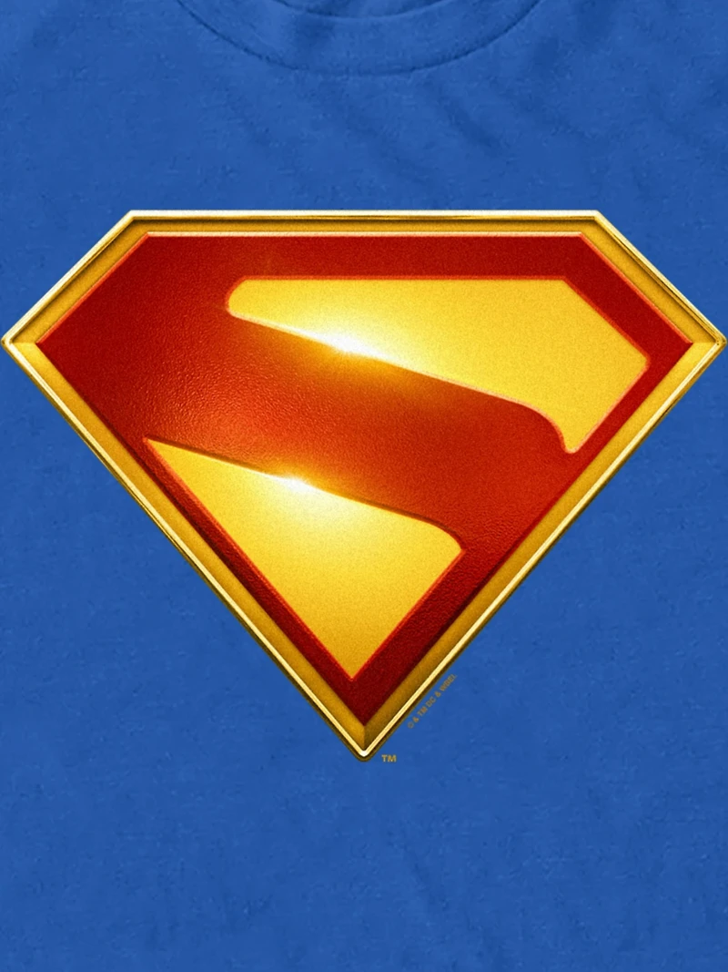 Superman Logo Graphic T-Shirt