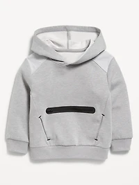 Dynamic Fleece Zippered Hoodie for Toddler Boys